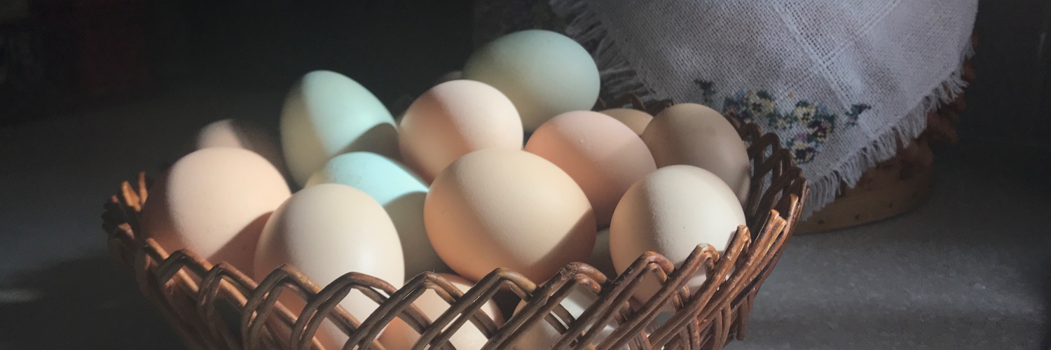PhillyFarmGirl's profile banner image