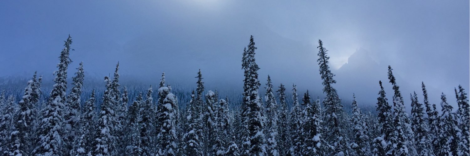 KellyStringer9's profile banner image