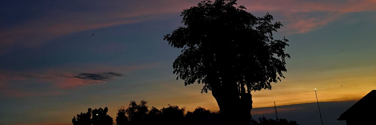thvldissi's profile banner image