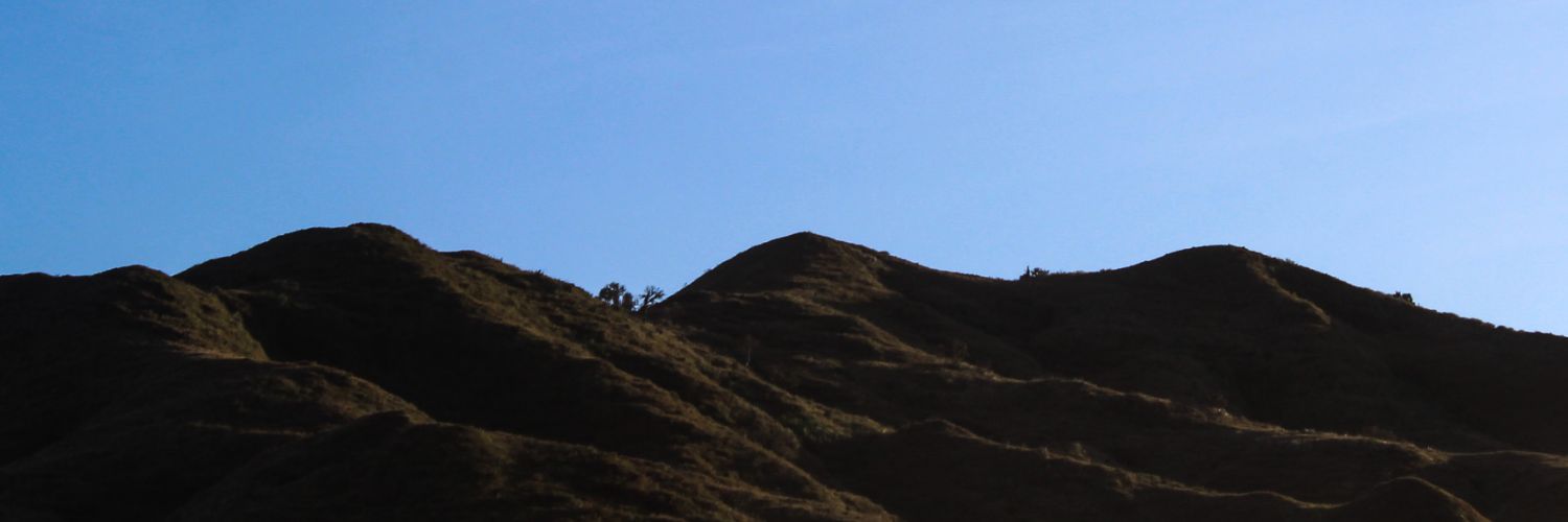 thycalmavris's profile banner image