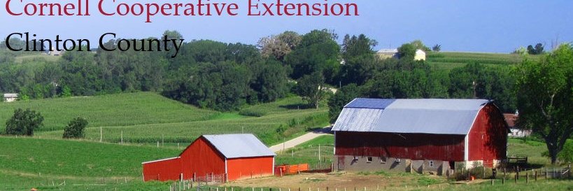 cceclinton's profile banner image