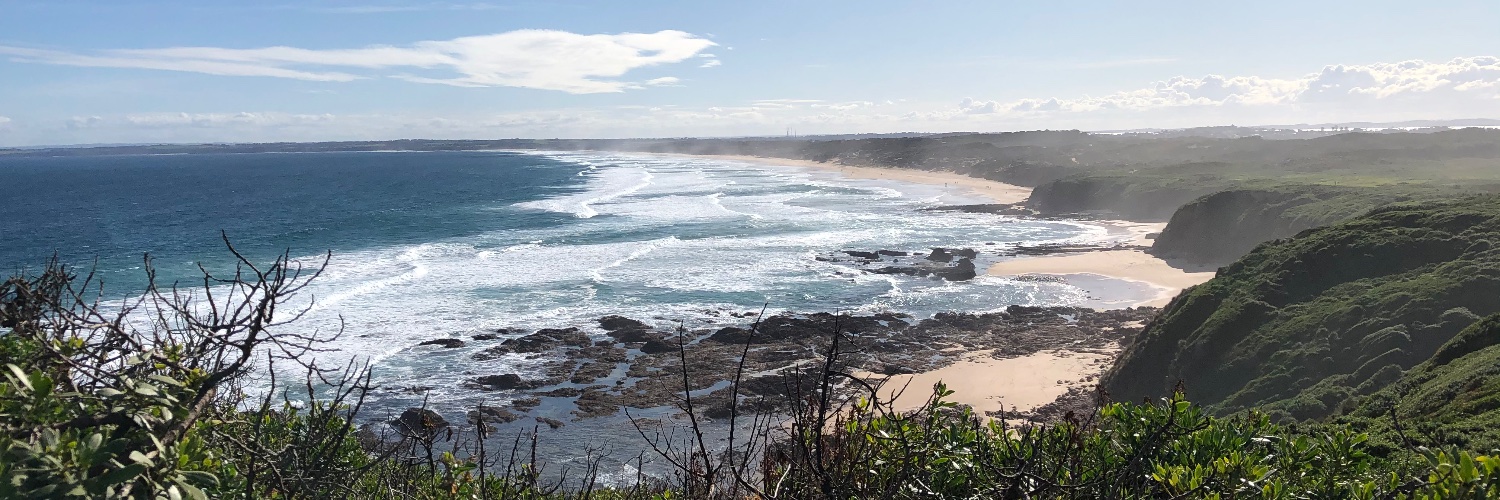 Ashleigh Best banner