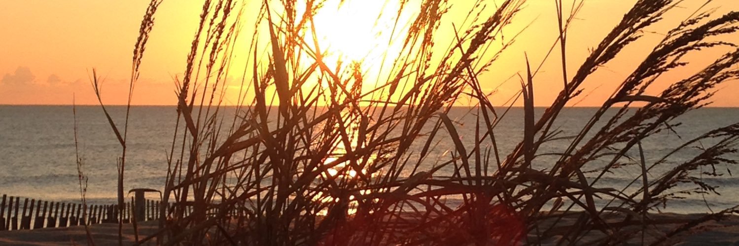 thcoldhardtruth's profile banner image