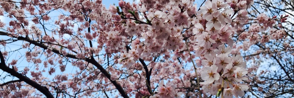 po_lov's profile banner image