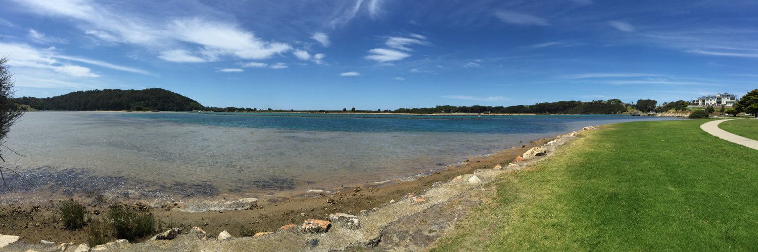 #FreePalestine 🍉 banner