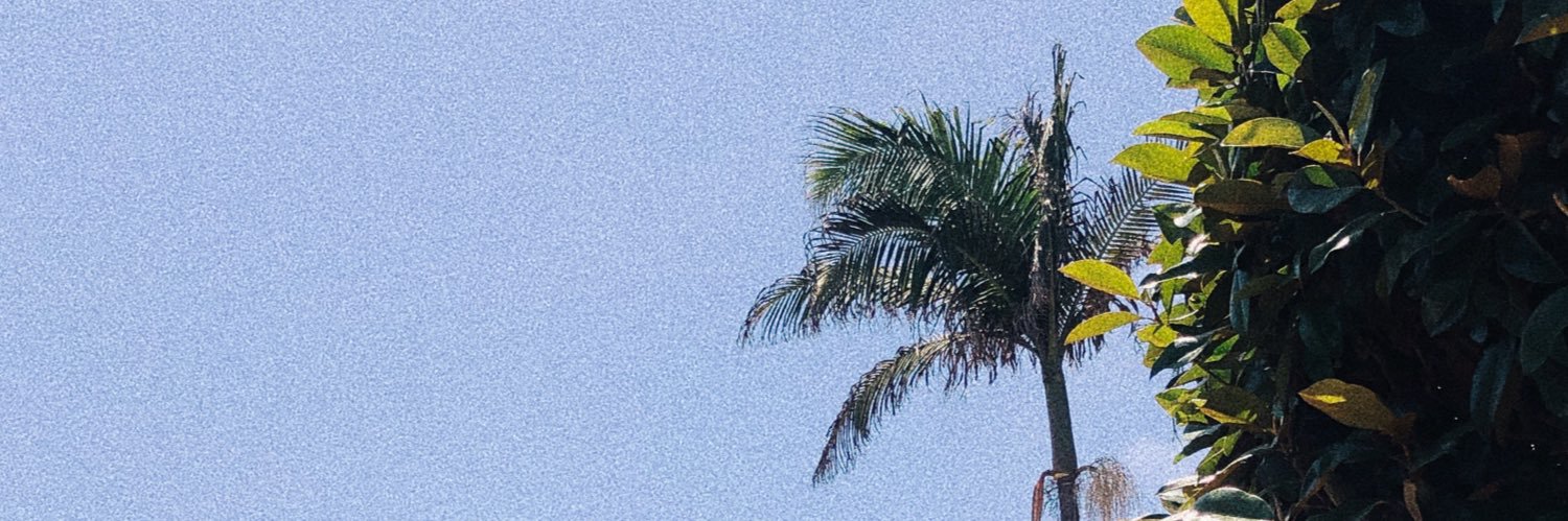 alexa_cote's profile banner image