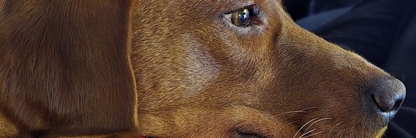 knaggsy097 Profile Banner