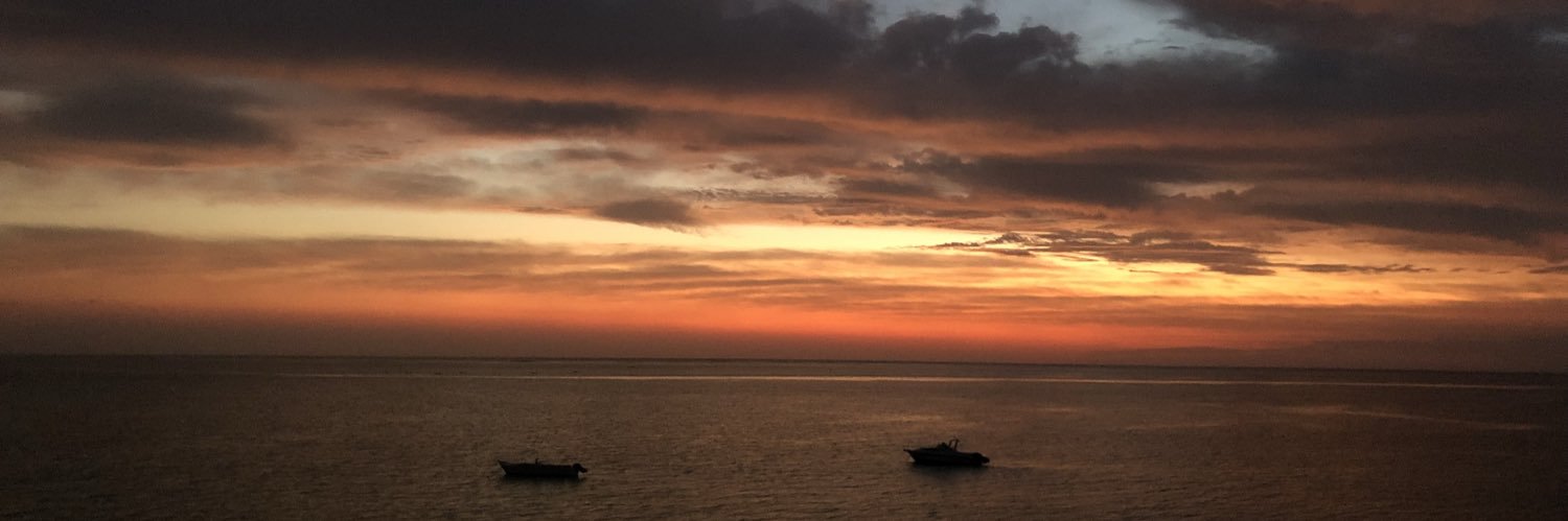 AllieGuida's profile banner image