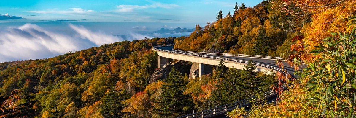 Michael Cooper banner