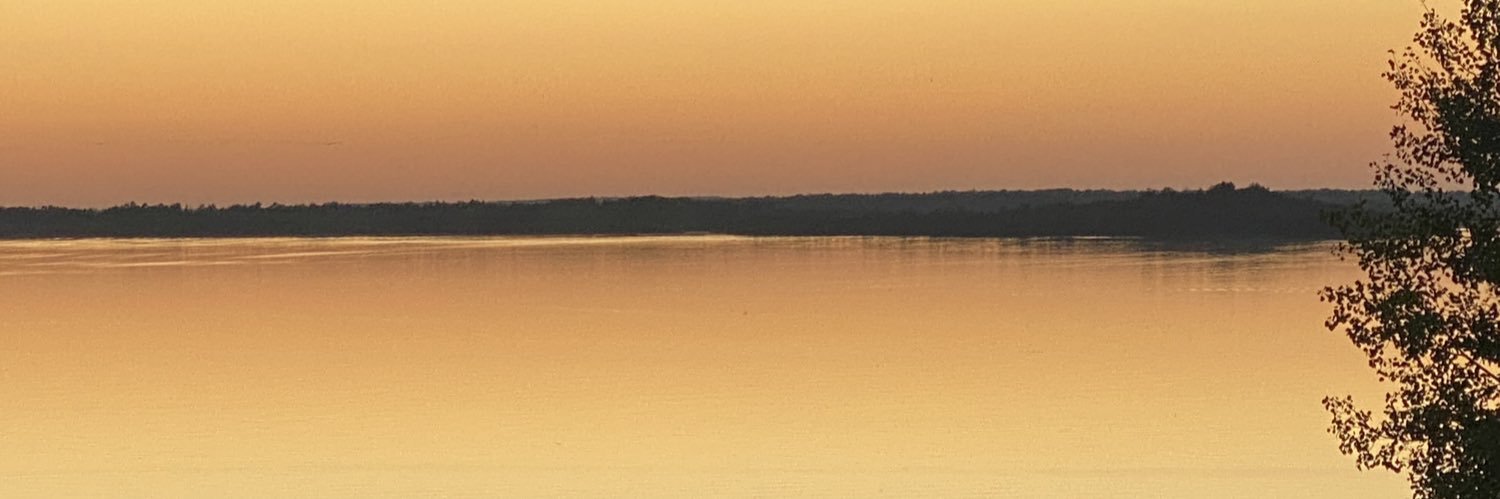 RoxaneTiessen's profile banner image
