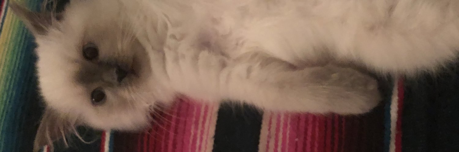 slyMrRy's profile banner image
