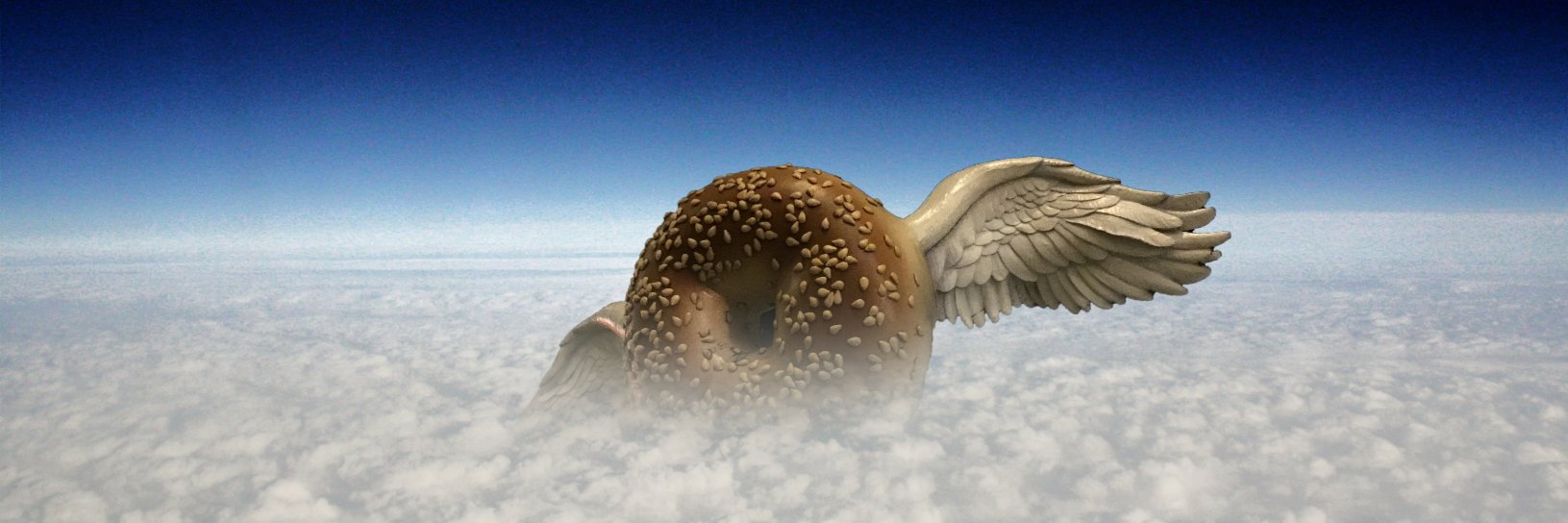Scolopro's profile banner image