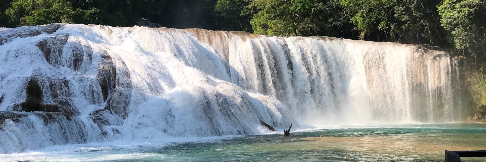 Noemi Mucino Fabela banner