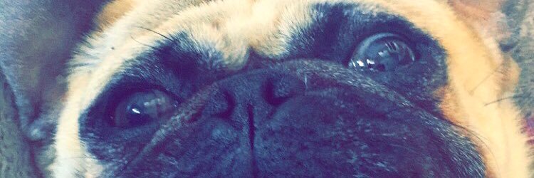 Stephhh2128's profile banner image