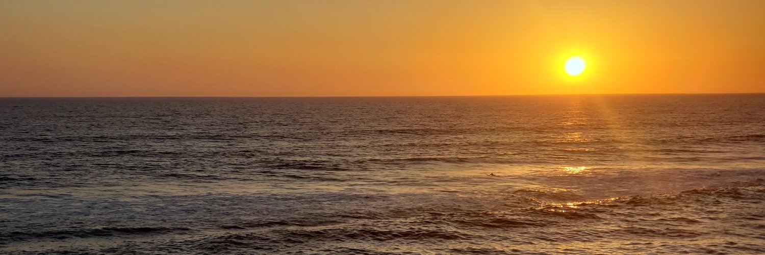 DolphConnard's profile banner image