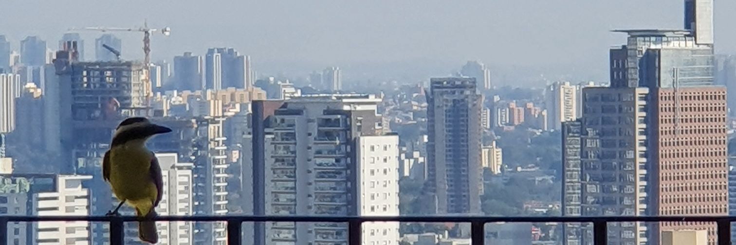 dThales's profile banner image
