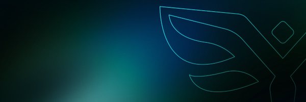 FlywithDF Profile Banner