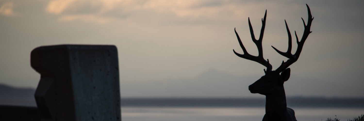 abdullah2_2's profile banner image