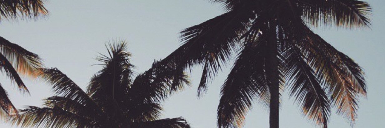 GabaAscarza's profile banner image