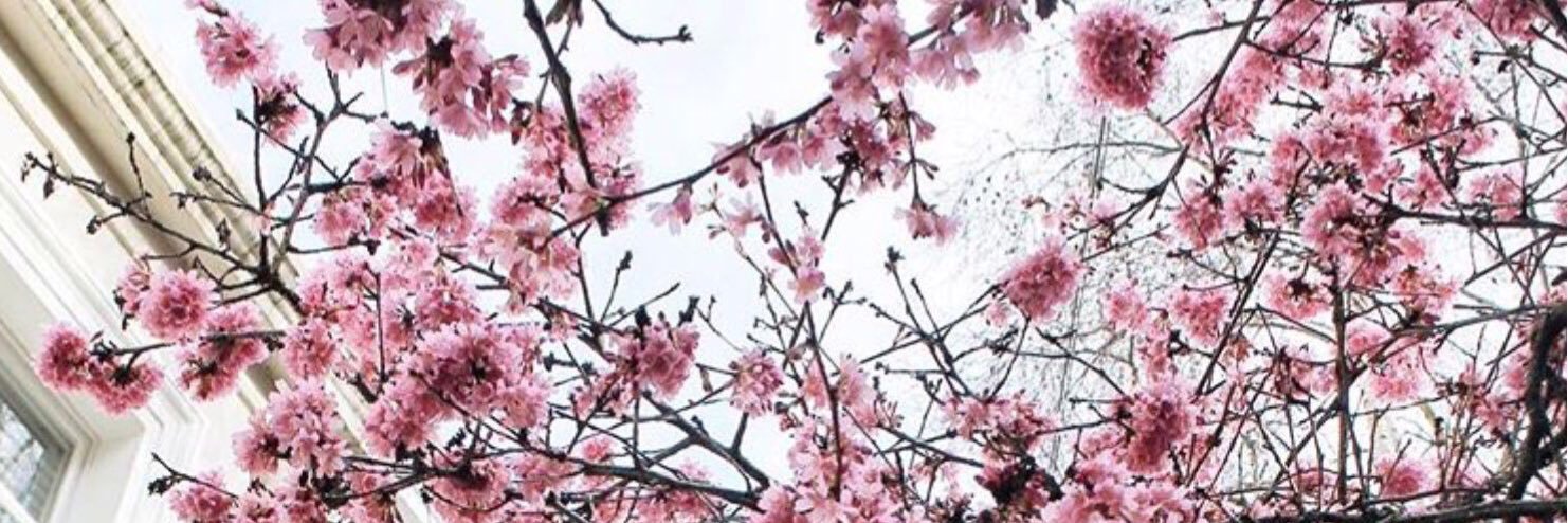 JuliannaH2's profile banner image