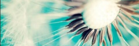 Symoneesobreezy's profile banner image