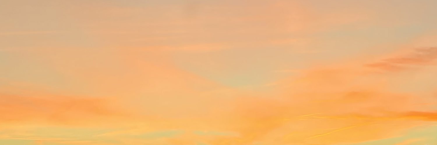 Stephy_Ceci's profile banner image