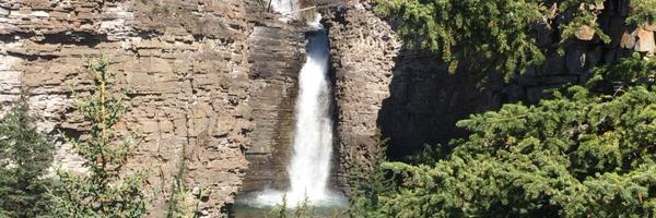 ArleneGAnderson Profile Banner