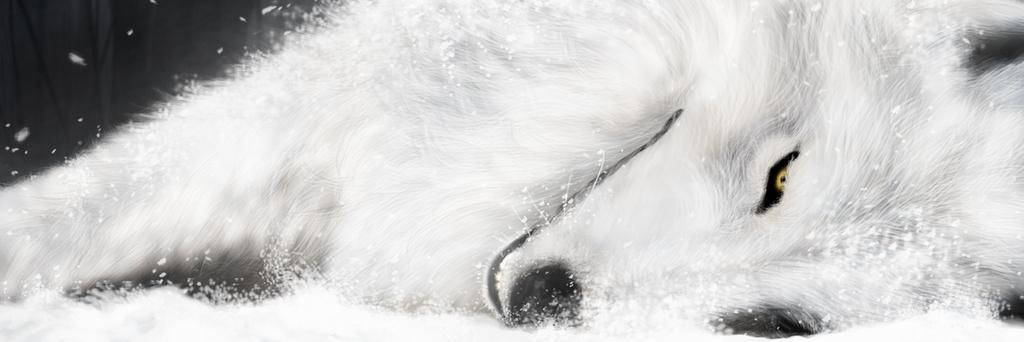 Beamgyu's profile banner image