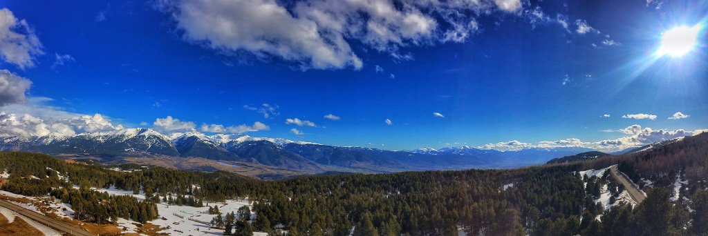 Ollie Armstrong banner