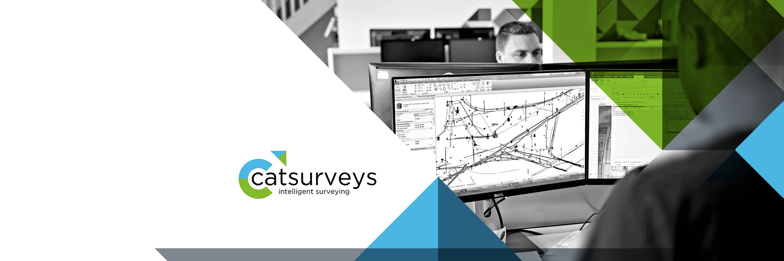 Catsurveys Ltd banner