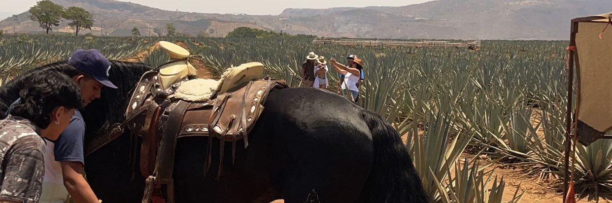 _Yeisenn's profile banner image