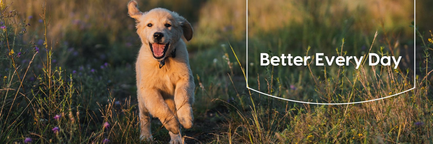Montego Pet Nutrition banner