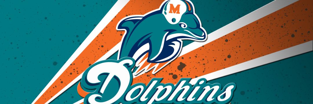 FinsFan4Life's profile banner image