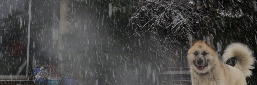 HarryTM_'s profile banner image