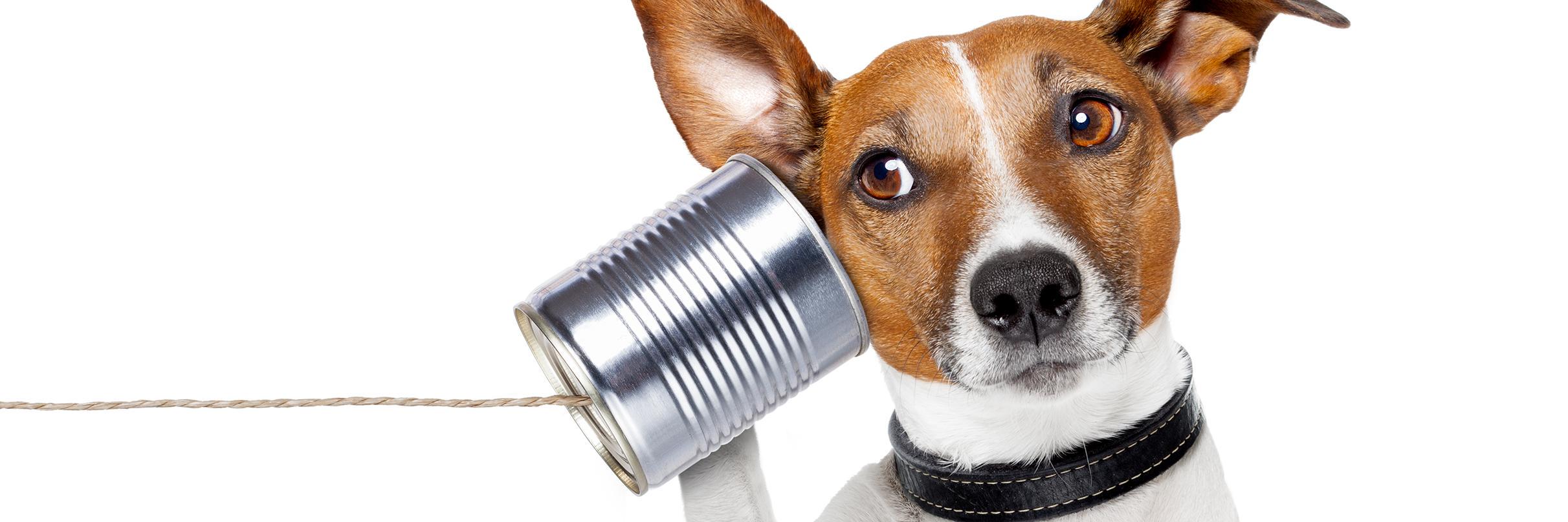 The PR Guy #MakeTechNotWar #BeingPapa (he/him/his) banner