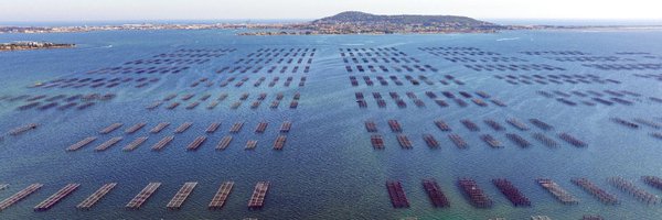 TourismeSete Profile Banner