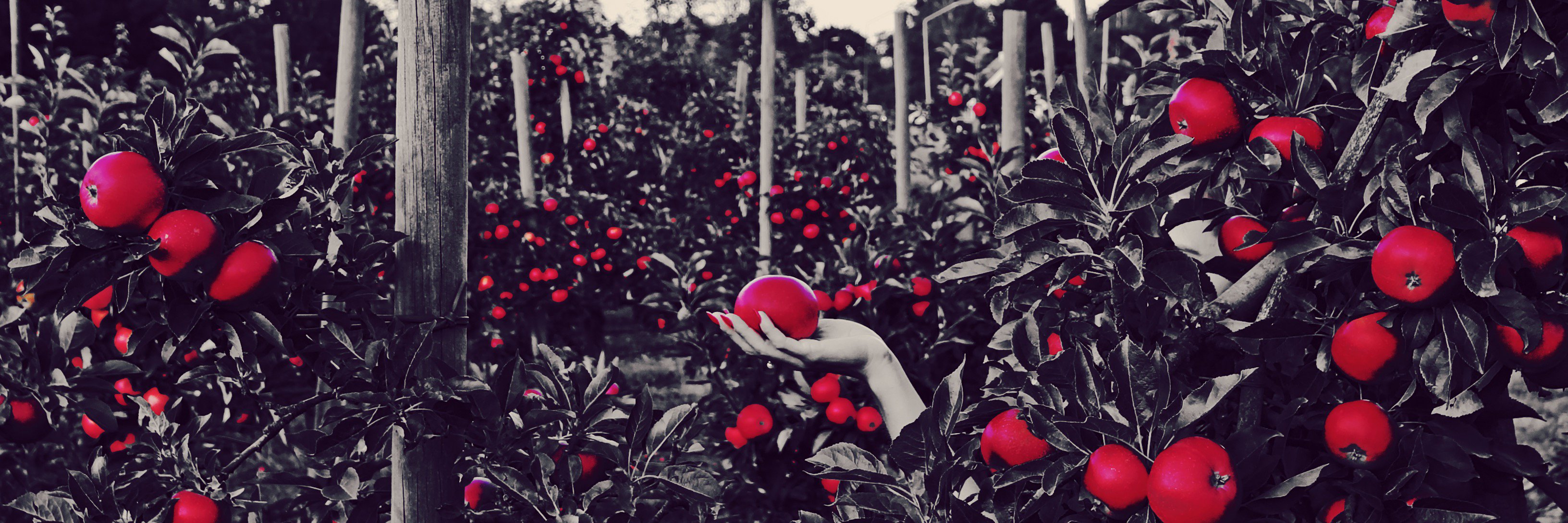 Katia__Mi's profile banner image
