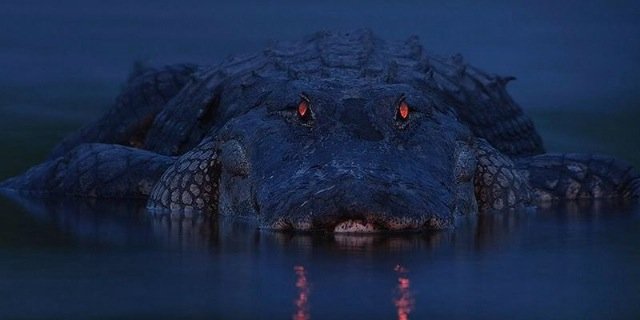 matt_bowd's profile banner image