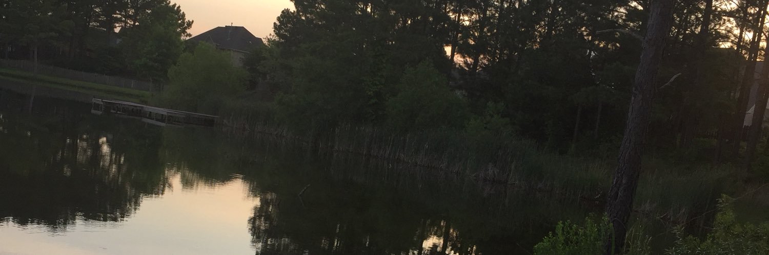 tlong31205's profile banner image