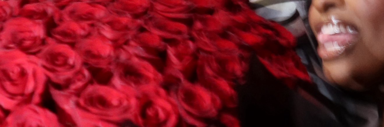 Nikki V. banner