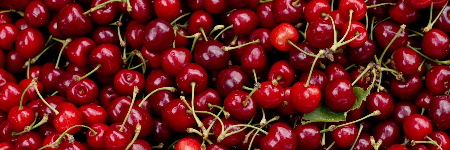 James Murphy Photo banner