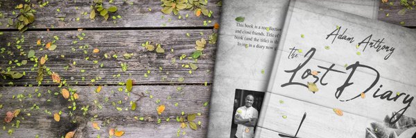 adamthony Profile Banner