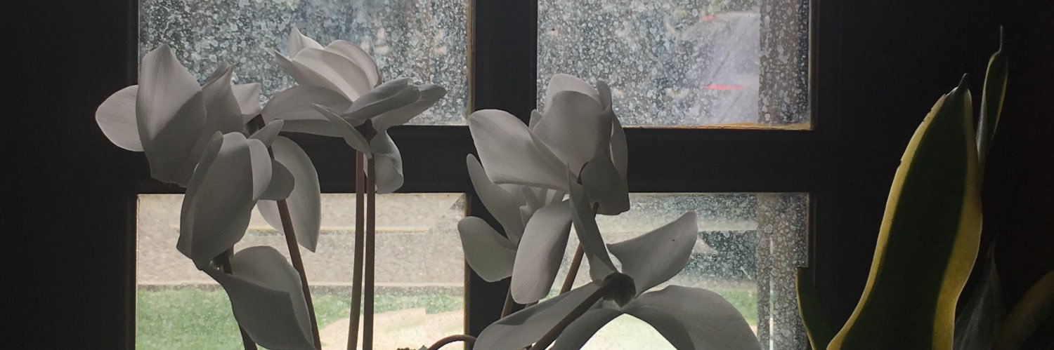 sognimod's profile banner image