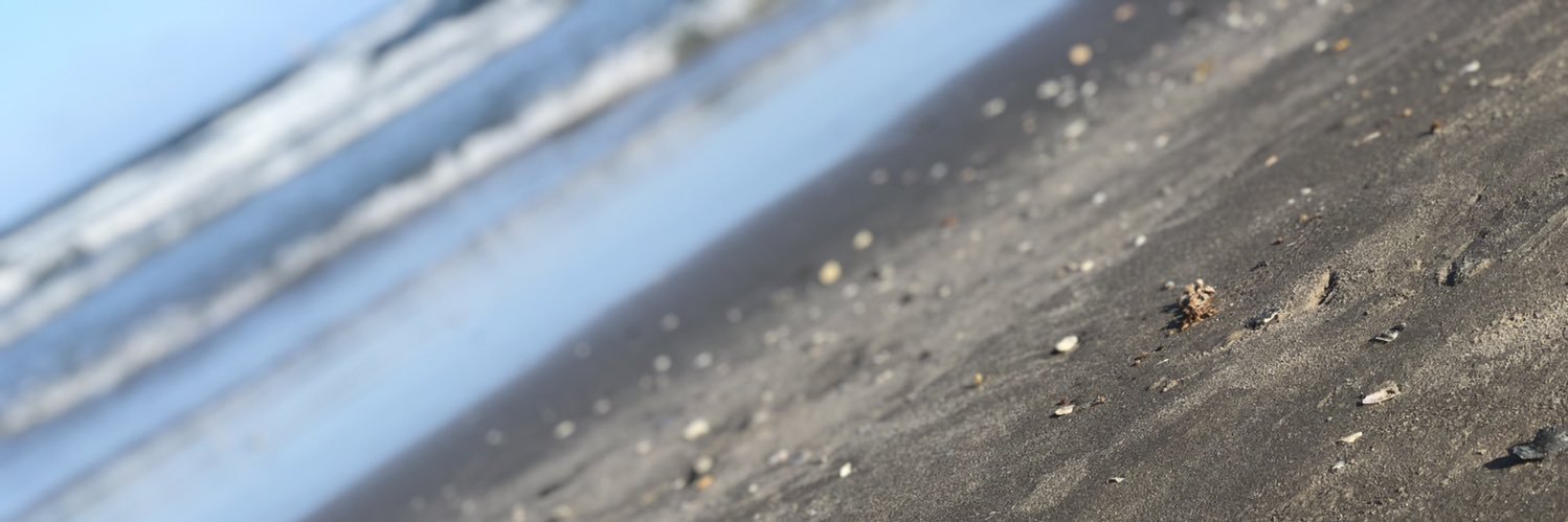 _mariahmae_'s profile banner image