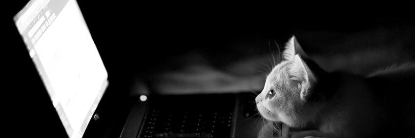 Adam Lodowski banner