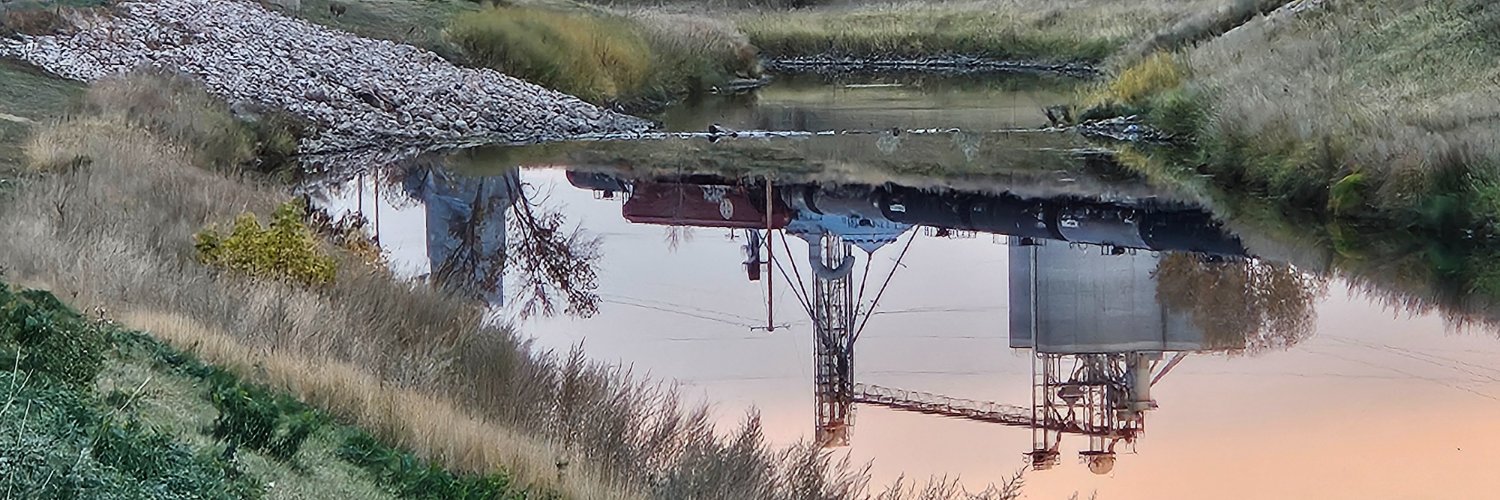 Trygve Hammer for ND banner