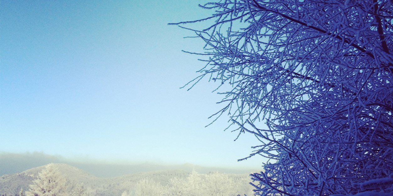 igor_1962's profile banner image
