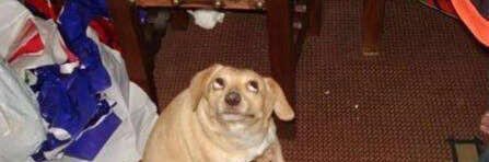 Jonathan Carrillo banner