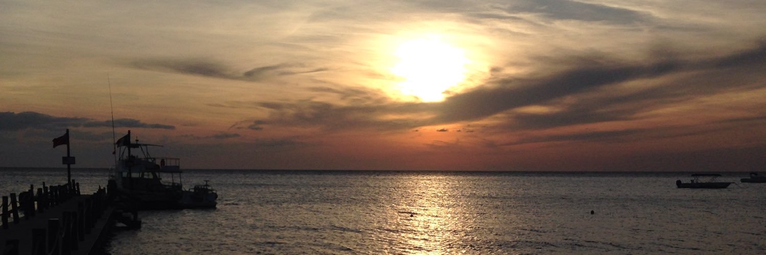 Paige Bressman banner