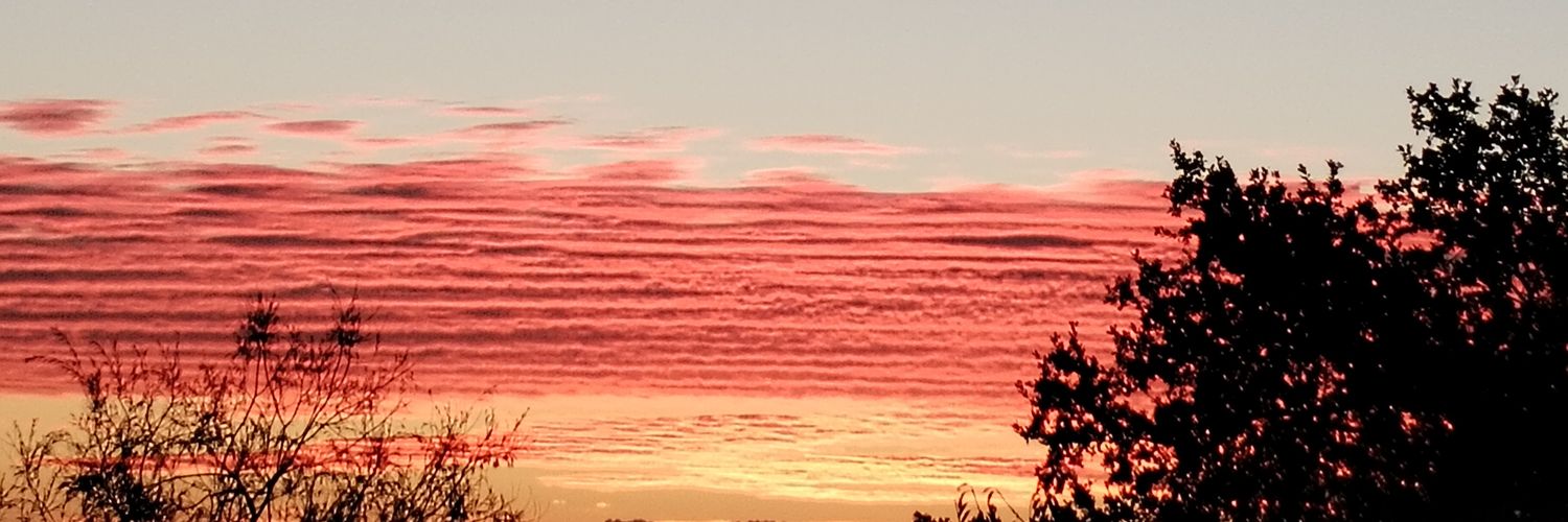 Flof4513's profile banner image